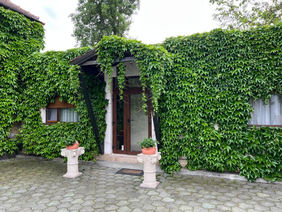 Vila Toscana Timişoara Exteriör bild